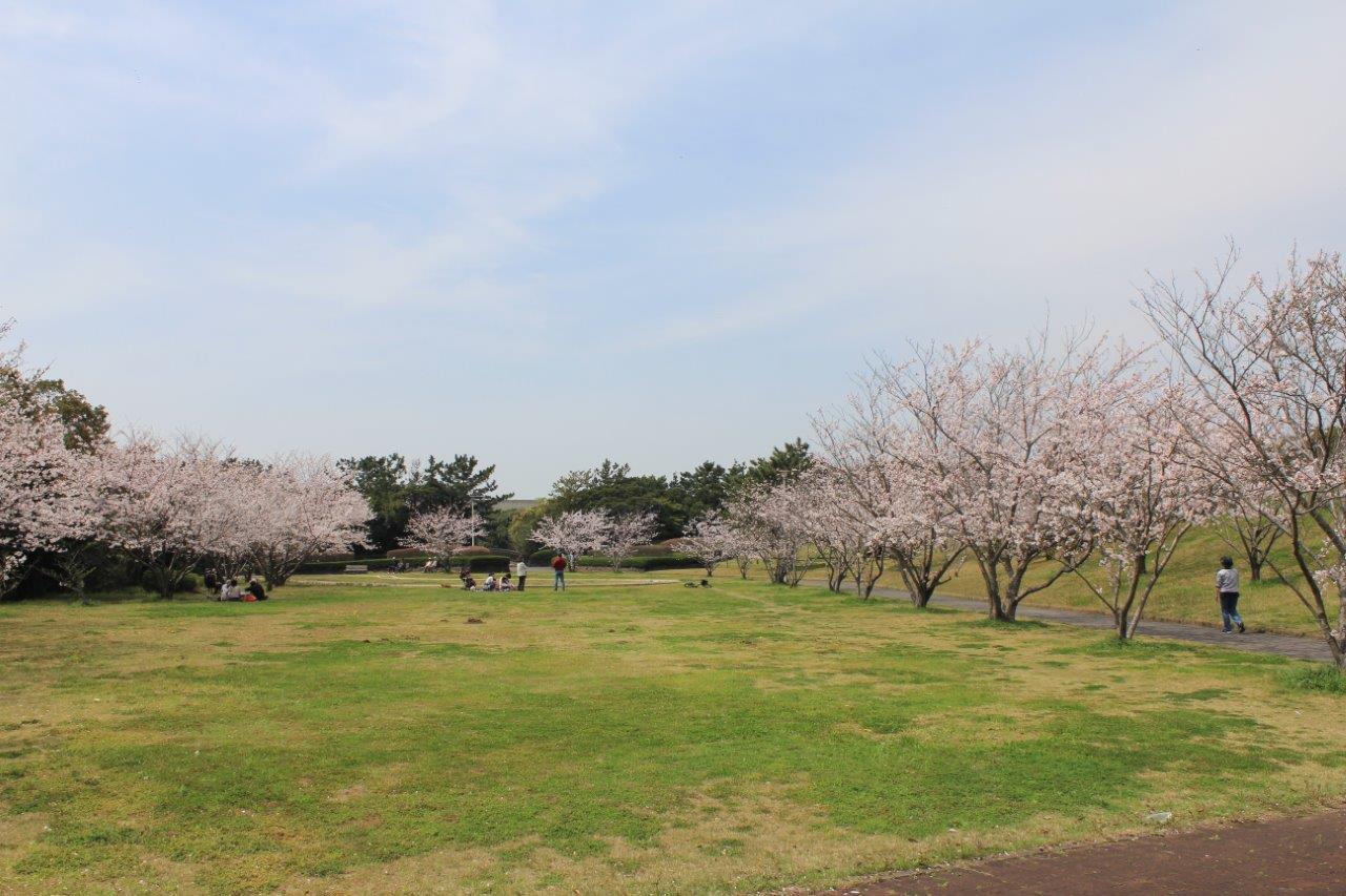 ふれあい公園