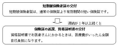 保険料を滞納すると！