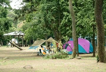 富津公園キャンプ場