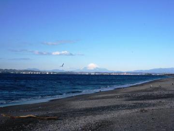 富士山の写真