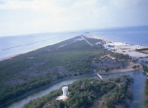 富津州海浜植物群落地