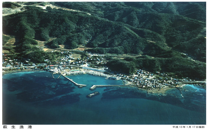 空から見た萩生漁港