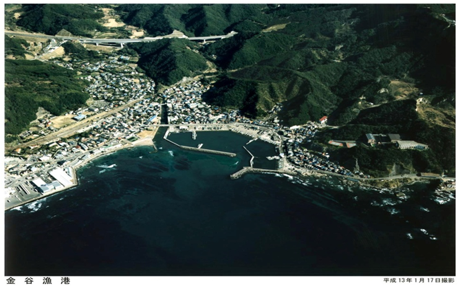 空から見た金谷漁港