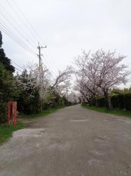 道