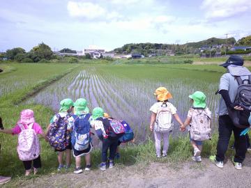 生き物1