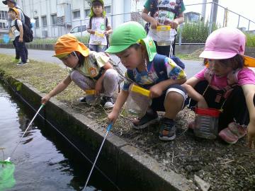 生き物3