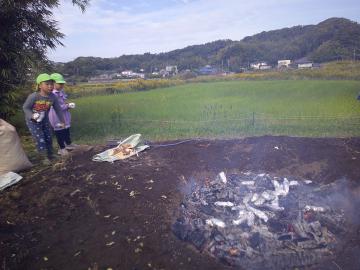 さつま芋投入