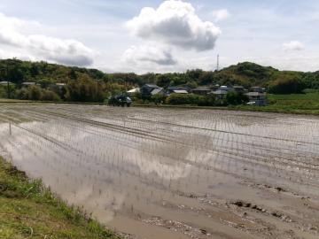 田植えを見たよ