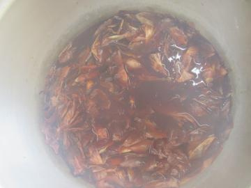 皮を煮る
