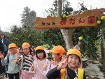 みかん園