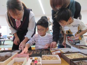 どれにしようかな