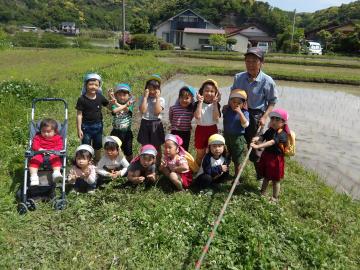 田植え7