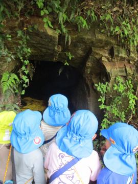 ヒカリモの洞窟を覗きこんでいます