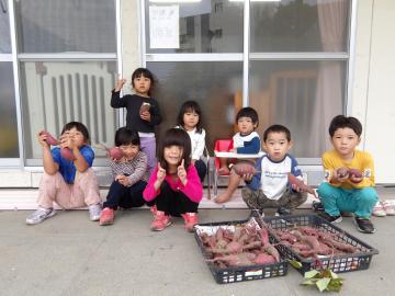 いろいろなお芋