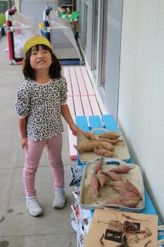 2種類のお芋を見比べる子ども