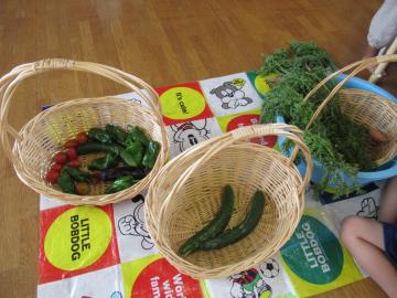 野菜