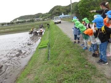 おさんぽ1