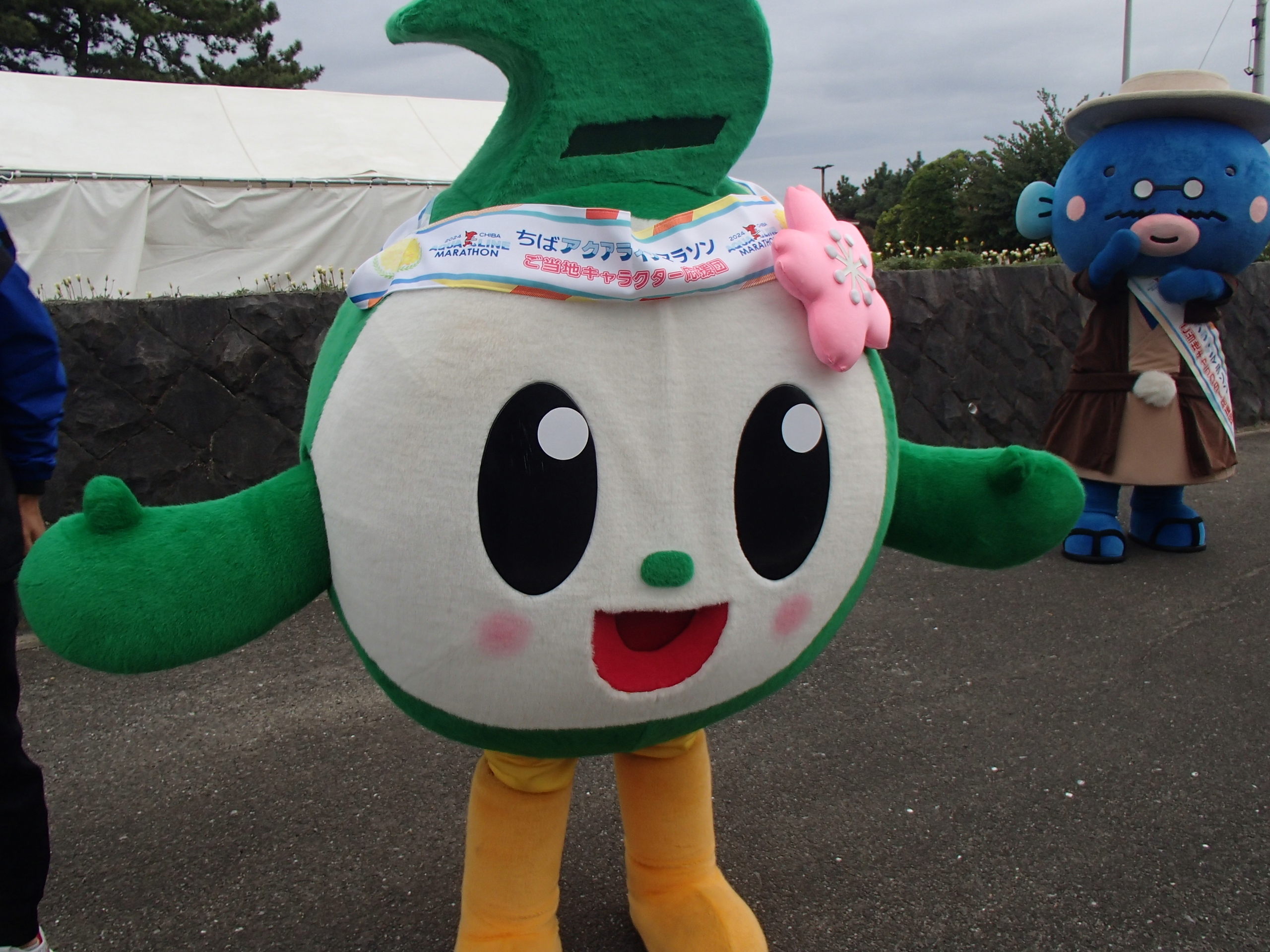ふっつんの写真