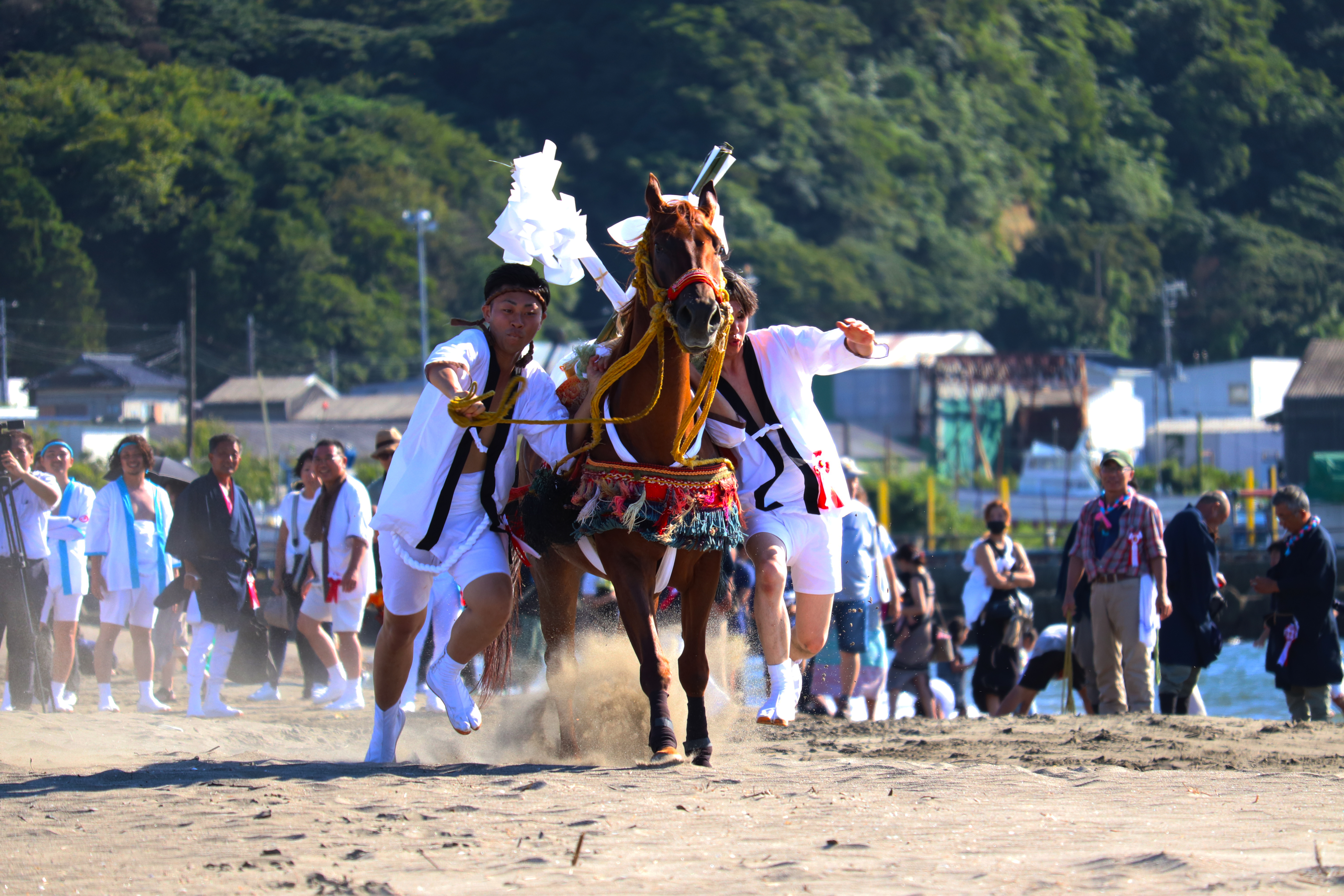 岩瀬海岸にて馬だしの様子。両脇に若い衆がつき、手綱を取りながら馬と一体となって疾走する。