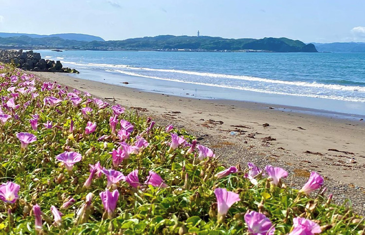 富津市の海岸