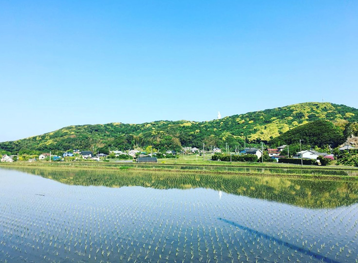 田園