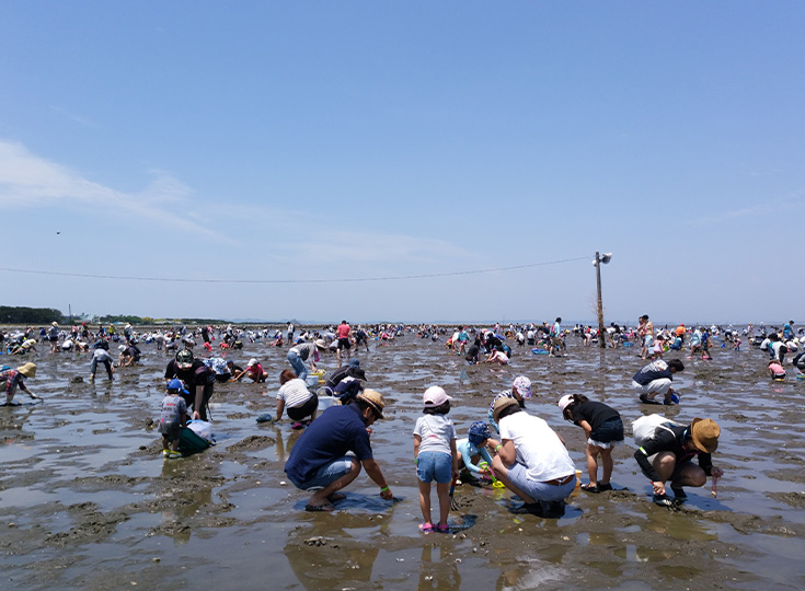 富津海岸潮干狩場